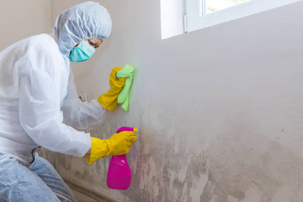 Forensic Mold Investigation in Soperton, GA